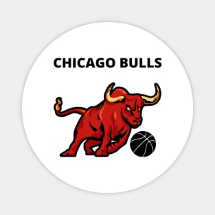 Chicago bulls Magnet